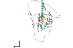 Protein Structure (PS) image for Vascular Endothelial Zinc Finger 1 (VEZF1) (AA 1-521) protein (His tag) (ABIN7545097)