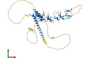 AlphaFold protein structure predicition of Human Recombinant LMX1B Protein, UniprotID O60663 (LMX1B Protein (AA 1-402) (His tag))