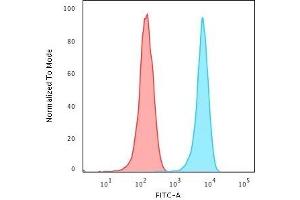 Flow Cytometric Analysis of Jurkat cells using CD3e Mouse Monoclonal Antibody (RIV9) followed by Goat anti-Mouse IgG-CF488 (Blue); Isotype Control (Red). (CD3 epsilon antibody)