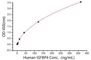 Insulin-Like Growth Factor Binding Protein 4 (IGFBP4) (AA 1-258) (Active) protein (His tag)