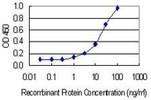 Detection limit for recombinant GST tagged PANX2 is 0. (Pannexin 2 antibody  (AA 133-219))