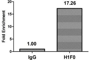 Chromatin Immunoprecipitation Hela (4*10 6 ) were treated with Micrococcal Nuclease, sonicated, and immunoprecipitated with 5 μg anti-H1F0 (nme1HU) or a control normal rabbit IgG. (Histone H1-Like (LOC107807853) antibody)