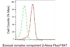 Flow cytometric analysis of Exocyst complex component 2 expression in HepG2 cells using Exocyst complex component 2 antibody (ABIN7798542), 1:2,000).