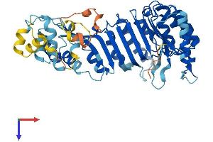 AlphaFold protein structure predicition of Human Recombinant PRAMEF5 Protein, UniprotID Q5TYX0 (PRAMEF5 Protein (AA 1-476) (His tag))