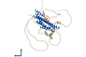 Protein Structure (PS) image for Family with Sequence Similarity 114, Member A1 (FAM114A1) (AA 1-563) protein (His tag) (ABIN7550118)