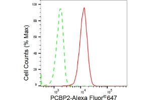 Flow cytometric analysis of PCBP2 expression in C2C12 cells using PCBP2 antibody (ABIN7799871), 1:2,000). (Recombinant PCBP2 antibody)