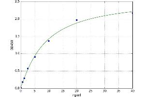 A typical standard curve