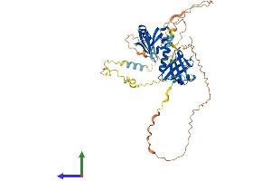 AlphaFold protein structure predicition of Human Recombinant DOK1 Protein, UniprotID Q99704 (DOK1 Protein (AA 1-481) (His tag))