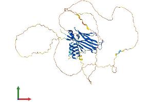 AlphaFold protein structure predicition of Human Recombinant MLLT1 Protein, UniprotID Q03111