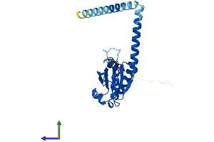 Protein Structure (PS) image for Thioredoxin Domain Containing 9 (TXNDC9) (AA 1-226) protein (His tag) (ABIN7544960)
