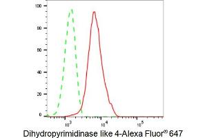 Flow cytometric analysis of Dihydropyrimidinase like 4 expression in C2C12 cells using Dihydropyrimidinase like 4 antibody (ABIN7798339), 1:2,000).
