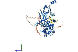 AlphaFold protein structure predicition of Mouse Recombinant Cdk8 Protein, UniprotID Q8R3L8 (CDK8 Protein (AA 1-464) (His tag))