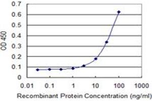 Detection limit for recombinant GST tagged NME6 is 1 ng/ml as a capture antibody. (NME6 antibody  (AA 1-194))