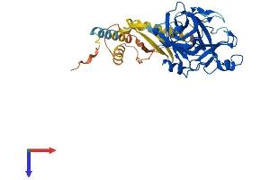 AlphaFold protein structure predicition of Mouse Recombinant Tmprss11a Protein, UniprotID Q3UQ41 (TMPRSS11A Protein (AA 1-389) (His tag))