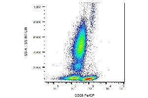 Surface staining of human peripheral blood leukocytes with anti-human CD28 (CD28. (CD28 antibody  (PerCP))