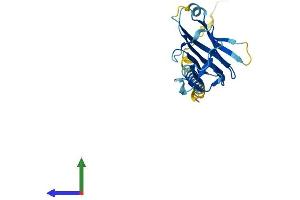 Protein Structure (PS) image for CD70 Molecule (CD70) (AA 1-195) protein (His tag) (ABIN7562501)