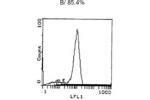 Image no. 2 for anti-CD3 (CD3) antibody (ABIN114137)