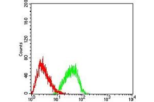 Flow cytometric analysis of HL-60 cells using EHMT2 mouse mAb (green) and negative control (red). (EHMT2 antibody  (AA 317-471))