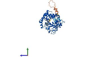 Protein Structure (PS) image for Tocopherol (Alpha) Transfer Protein-Like (TTPAL) (AA 1-342) protein (His tag) (ABIN7544763)