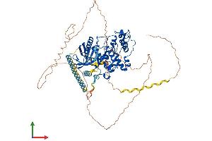 AlphaFold protein structure predicition of Human Recombinant SRPK2 Protein, UniprotID P78362 (SRPK2 Protein (AA 1-688) (His tag))