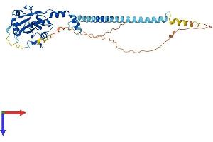 PCYT1B Protein (AA 1-369) (His tag)