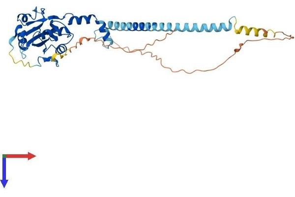 PCYT1B Protein (AA 1-369) (His tag)