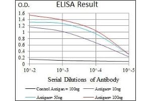 Red: Control Antigen (100 ng), Purple: Antigen (10 ng), Green: Antigen (50 ng), Blue: Antigen (100 ng), (PPP2CB antibody)