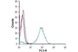 Cell surface detection of GPR55 in live intact human THP-1 monocytic leukemia cells: (black line) Cells. (GPR55 antibody  (2nd Extracellular Loop))