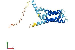 AlphaFold protein structure predicition of Mouse Recombinant Cmtm2a Protein, UniprotID Q9DAR1 (CMTM2A Protein (AA 1-169) (His tag))