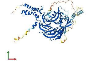 AlphaFold protein structure predicition of Human Recombinant FBXW5 Protein, UniprotID Q969U6 (FBXW5 Protein (AA 1-566) (His tag))