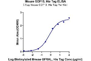 Immobilized Mouse GDF15, His Tag at 5 μg/mL (100 μL/Well) on the plate. (GDF15 Protein (AA 189-303) (His tag))