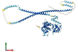 Protein Structure (PS) image for Translin-Associated Factor X Interacting Protein 1 (Tsnaxip1) (AA 1-658) protein (His tag) (ABIN7544823)