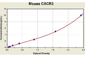 Diagramm of the ELISA kit to detect Mouse CXCR3with the optical density on the x-axis and the concentration on the y-axis. (CXCR3 ELISA Kit)