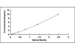 Typical standard curve (NGFR ELISA Kit)