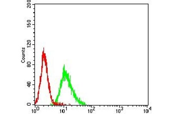 IL21 Receptor antibody  (AA 20-232)