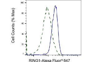 Validation of RING1 knockdown using flow cytometry. (Recombinant RING1 antibody)