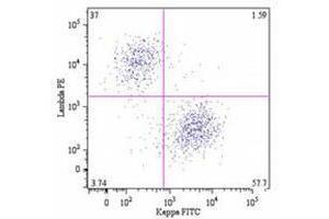 Flow Cytometry (FACS) image for Mouse anti-Human Ig (Chain kappa), (Light Chain) antibody (ABIN487319) (Mouse anti-Human Ig (Chain kappa), (Light Chain) Antibody)