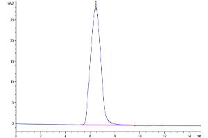 CD59a Protein (CD59A) (AA 24-96) (Fc Tag)
