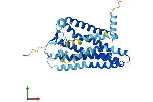 AlphaFold protein structure predicition of Human Recombinant OR10C1 Protein, UniprotID Q96KK4 (OR10C1 Protein (AA 1-312) (His tag))