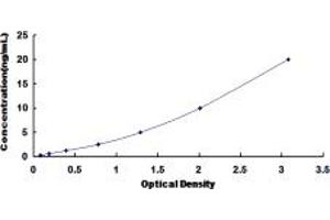 GPA33 ELISA Kit