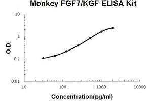 Monkey Primate FGF7/KGF PicoKine ELISA Kit standard curve (FGF7 ELISA Kit)