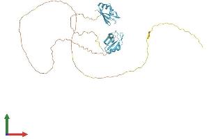 AlphaFold protein structure predicition of Human Recombinant SRSF6 Protein, UniprotID Q13247