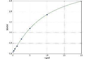 Membrane Bound O-Acyltransferase Domain Containing 4 (MBOAT4) ELISA Kit