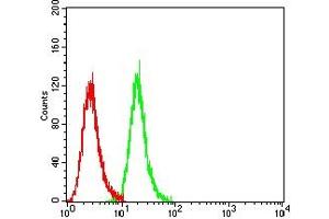 Flow cytometric analysis of Hela cells using IGF2BP3 mouse mAb (green) and negative control (red). (IGF2BP3 antibody  (AA 430-579))