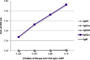 ELISA plate was coated with purified rat IgG1, IgG2a, IgG2b, IgG2c, and IgM. (Mouse anti-Rat IgG2c Antibody (HRP))