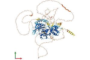 AlphaFold protein structure predicition of Mouse Recombinant Dennd2c Protein, UniprotID Q6P9P8 (DENND2C Protein (AA 1-914) (His tag))