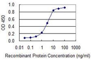 Detection limit for recombinant GST tagged CEACAM6 is 0. (CEACAM6 antibody  (AA 156-265))