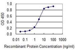 Detection limit for recombinant GST tagged CEACAM6 is 0. (CEACAM6 antibody  (AA 156-265))