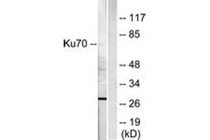 Western blot analysis of extracts from HepG2 cells, using Ku70 Antibody. (XRCC6 antibody  (AA 560-609))