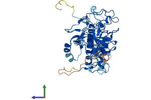 AlphaFold protein structure predicition of Human Recombinant SUV39H1 Protein, UniprotID O43463 (SUV39H1 Protein (AA 1-412) (His tag))